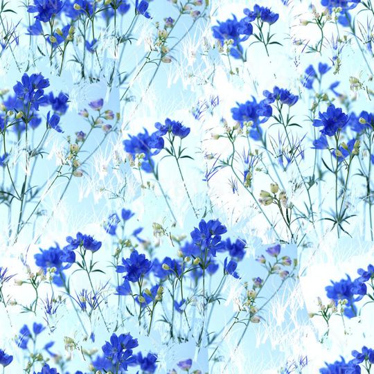 男装华亿平台印花华亿平台图片