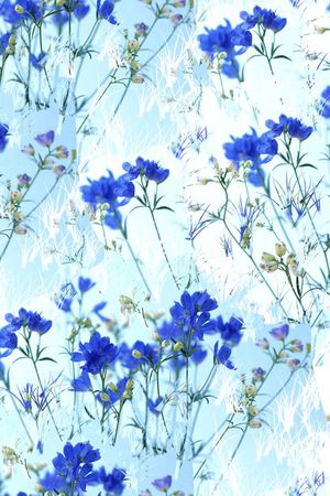 男装华亿平台印花华亿平台图片