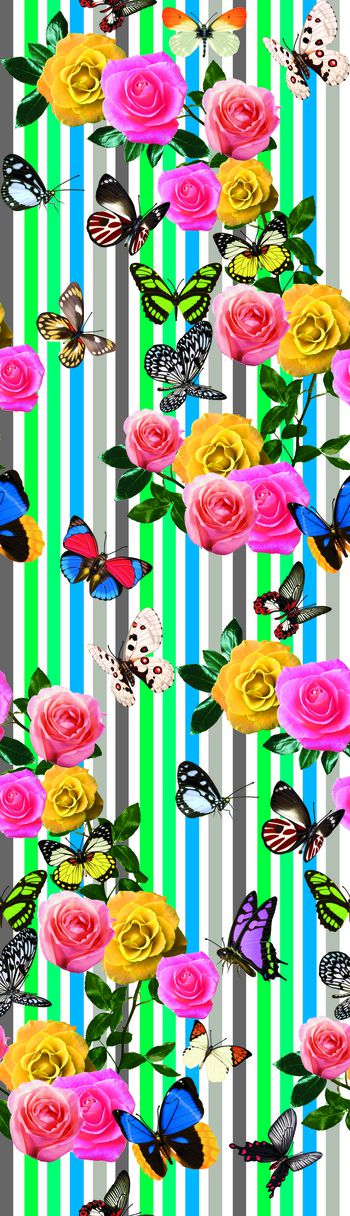 455246-玫红条蝴蝶花