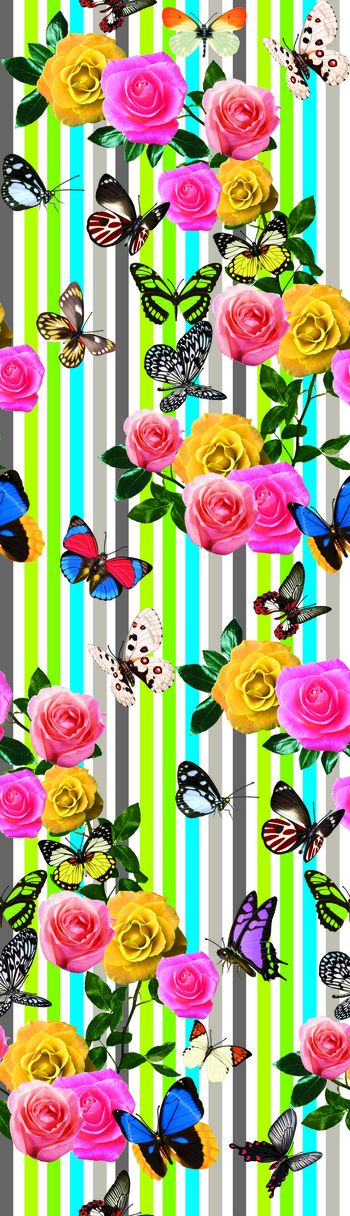 455247-玫红条蝴蝶花