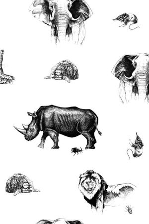 潮流印花华亿平台图片