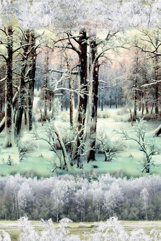 雪景印花华亿平台图片