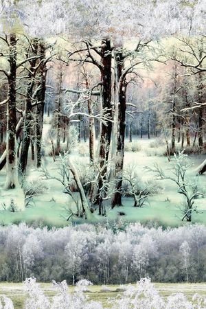 雪景印花华亿平台图片