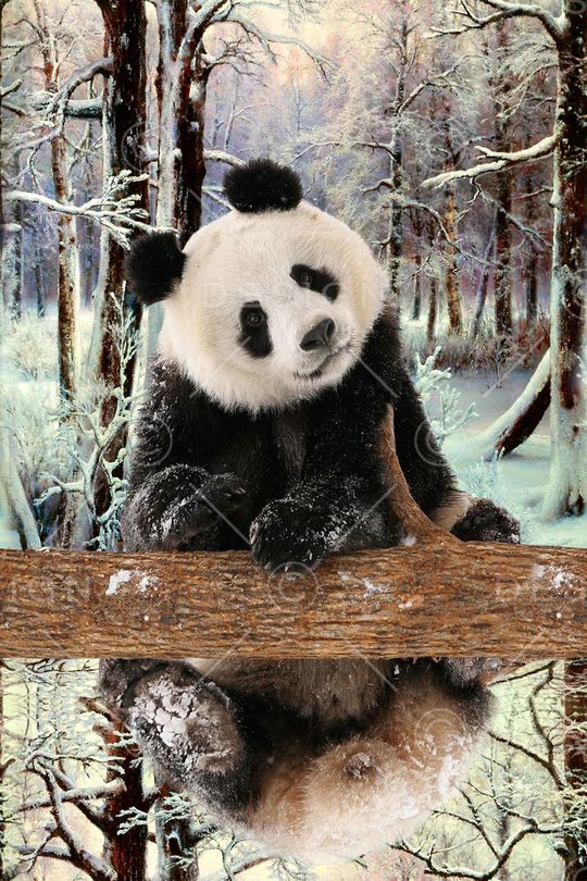 雪景印花华亿平台图片