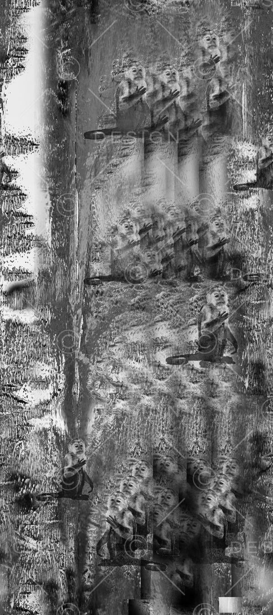 动物印花华亿平台图片