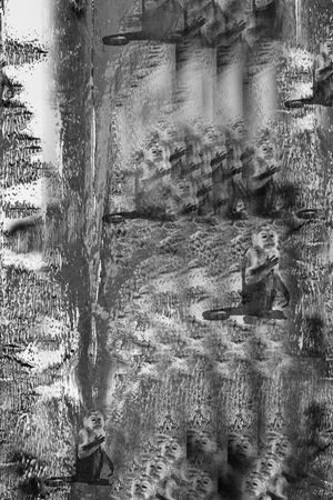 动物印花华亿平台图片