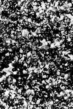 潮流印花华亿平台图片