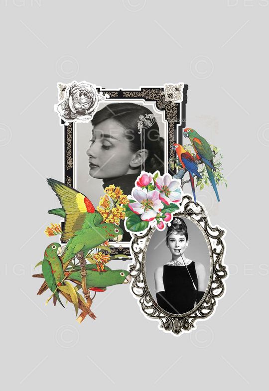 奥黛丽·赫本印花华亿平台图片