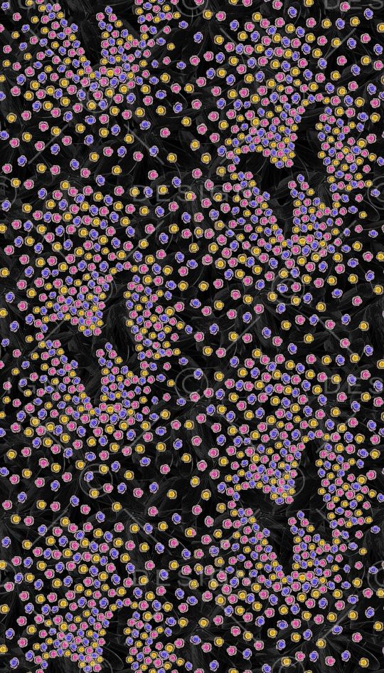 翅膀底纹印花华亿平台图片