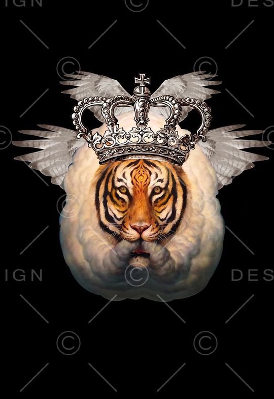 翅膀印花华亿平台图片