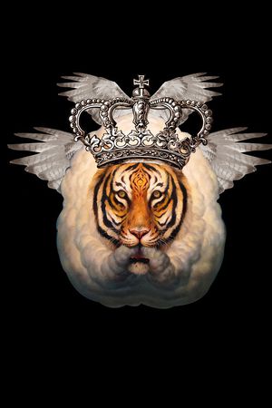 翅膀印花华亿平台图片