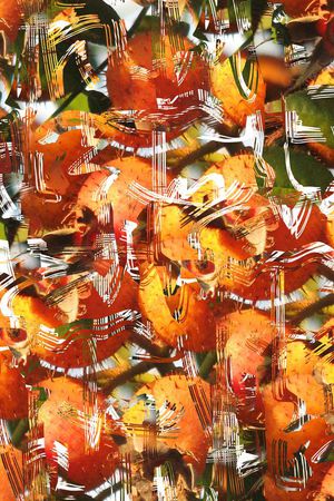 抽象印花华亿平台图片