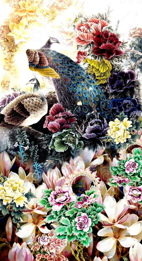 孔雀印花华亿平台图片