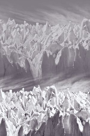 外套风衣男装印花华亿平台图片