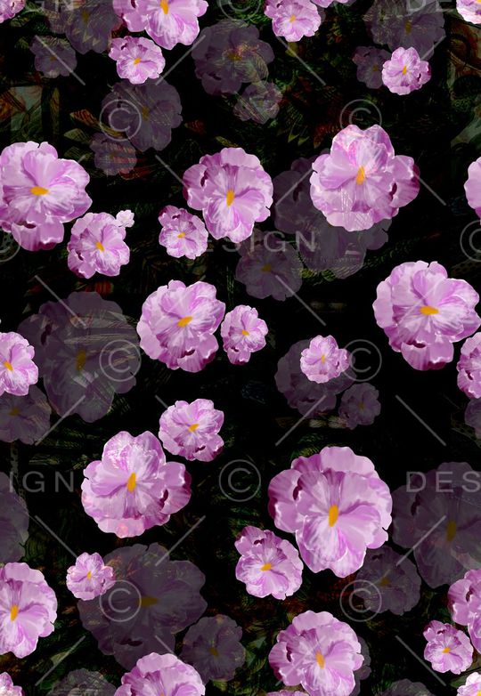 韩版印花华亿平台图片