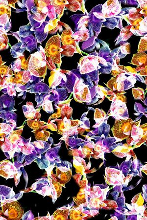 多彩印花华亿平台图片