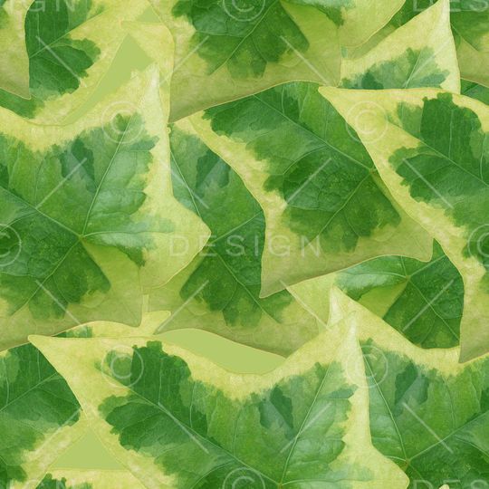 夹克华亿平台印花华亿平台图片