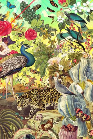 豹子印花华亿平台图片