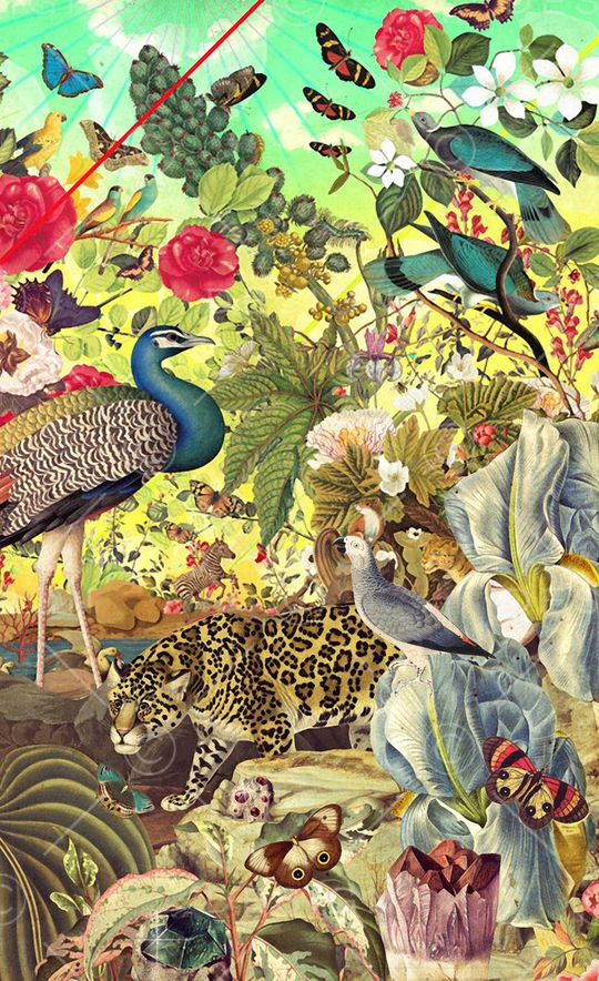 豹子印花华亿平台图片