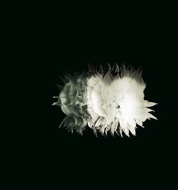 田园印花华亿平台图片