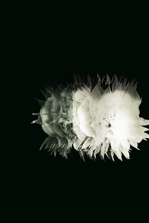 田园印花华亿平台图片