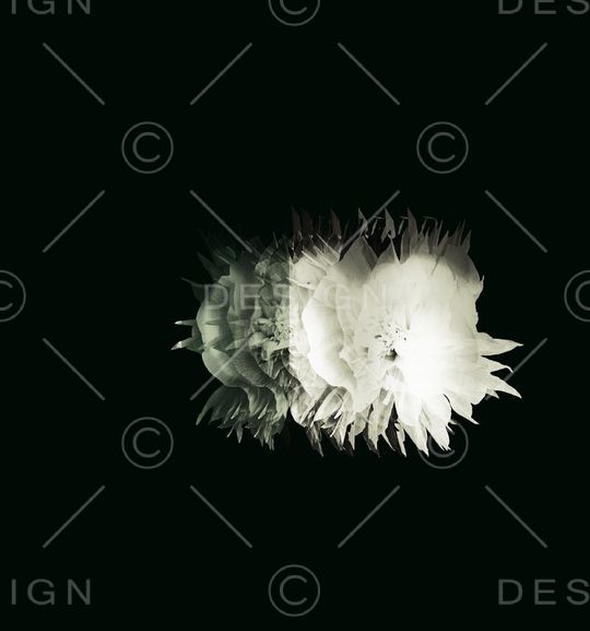 田园印花华亿平台图片