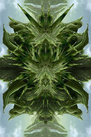 t恤华亿平台印花华亿平台图片