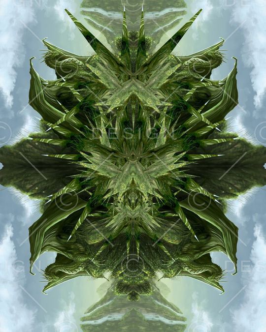 t恤华亿平台印花华亿平台图片