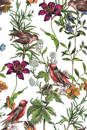 大牌印花华亿平台图片