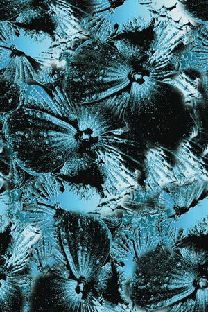 现代印花华亿平台图片