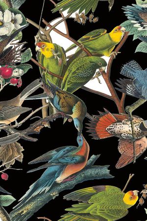 热带雨林印花华亿平台图片