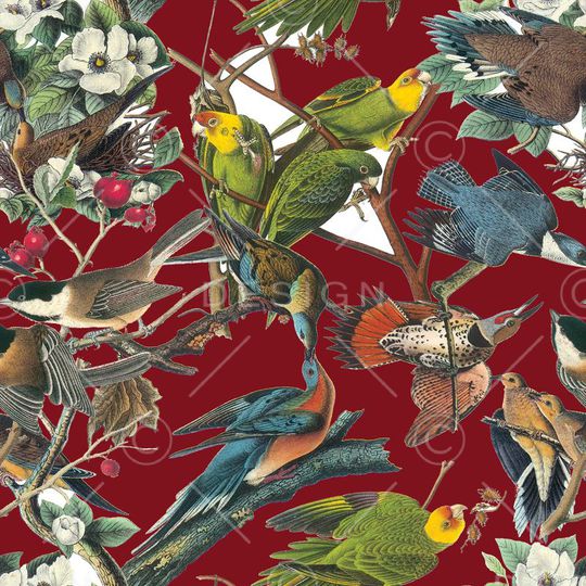 热带雨林印花华亿平台图片