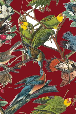 热带雨林印花华亿平台图片