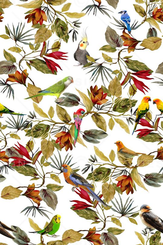 动物印花华亿平台图片