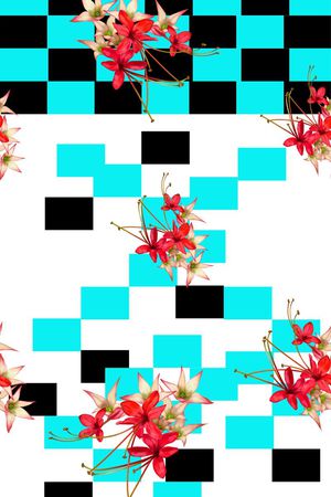 格子印花华亿平台图片