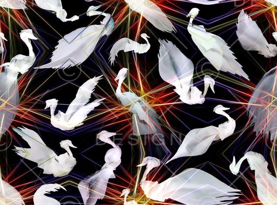 鸟印花华亿平台图片