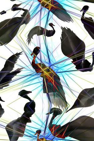 鸟印花华亿平台图片