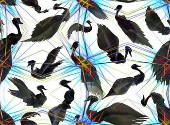 456649-时尚潮流 仙气 炫光飞鸟