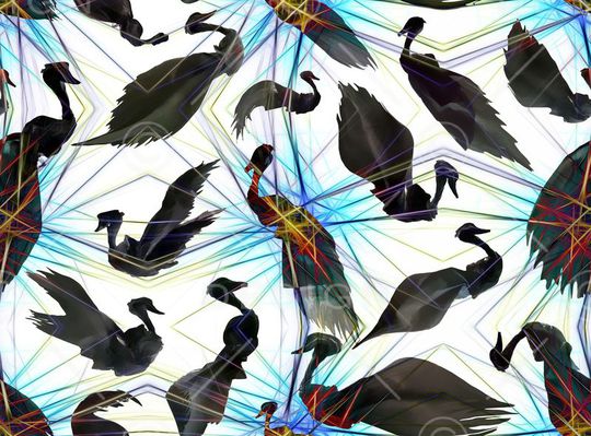 鸟印花华亿平台图片