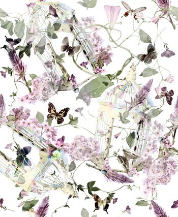 456686-清新田园风喇叭花牵牛花折枝花白色鸟