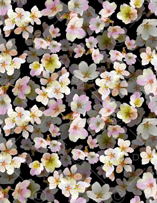 大牌花卉印花华亿平台图片