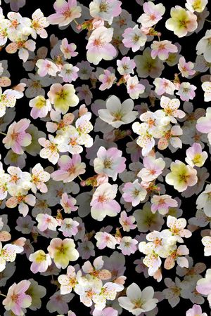 大牌花卉印花华亿平台图片