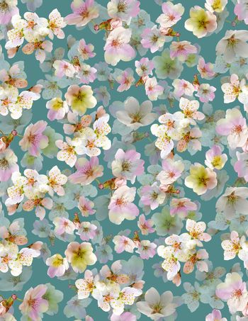 456722-	流行时尚大牌梨花小碎花渐变数码印