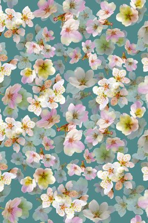 流行时尚印花华亿平台图片