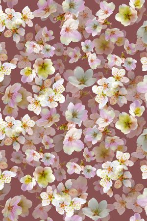 流行时尚印花华亿平台图片