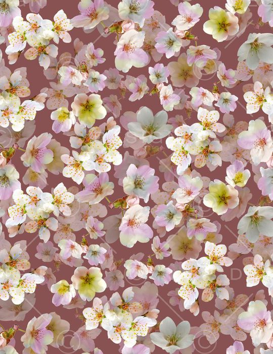 流行时尚印花华亿平台图片