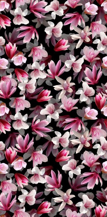 456725-时尚写实粉色玉兰花渐变数码印花