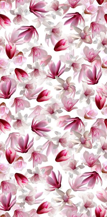 456727-时尚写实粉色玉兰花渐变数码印花