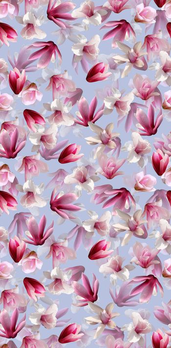 456729-时尚写实粉色玉兰花渐变数码印花