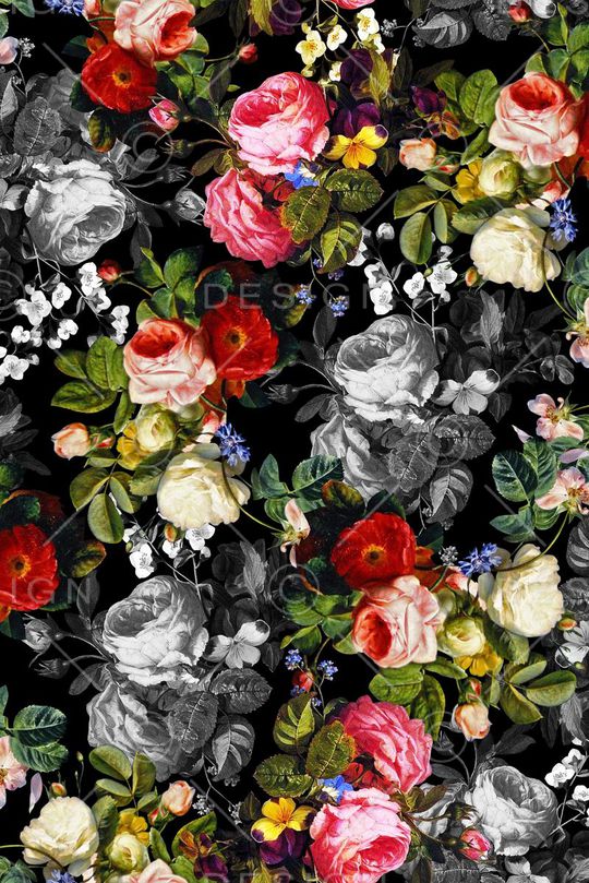 冬装印花华亿平台图片